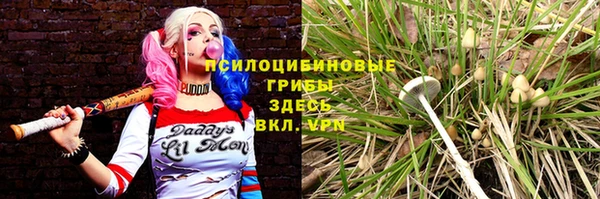 МДПВ Лагань