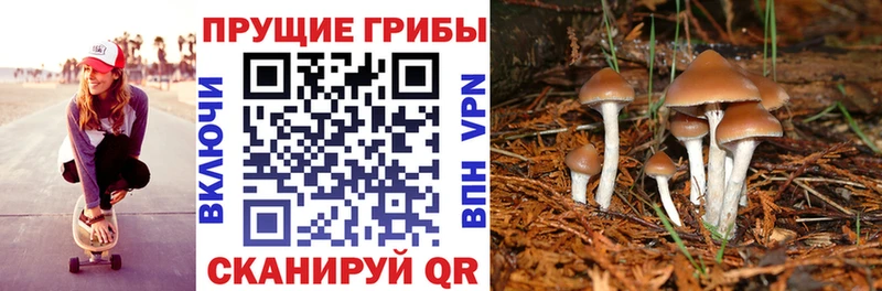 Псилоцибиновые грибы MAGIC MUSHROOMS  Барнаул 