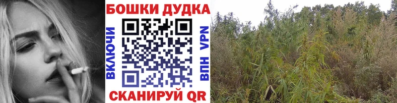 Бошки марихуана LSD WEED  Барнаул 